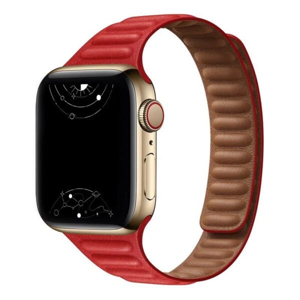 Double color strap 42 44 45 49 mm
