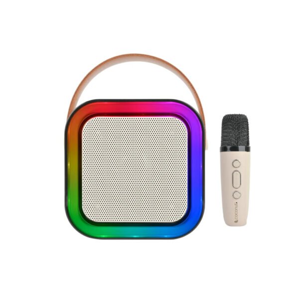Wireless speaker with 2 mics y1