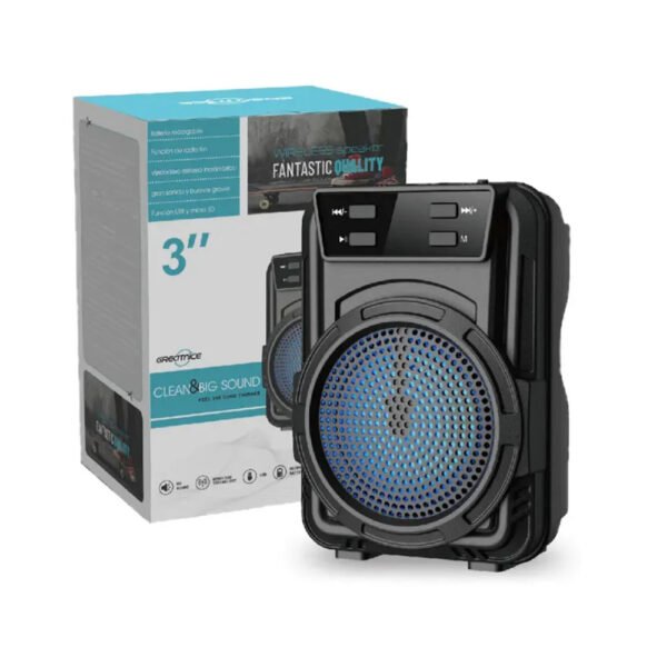 1363GTS Speaker small
